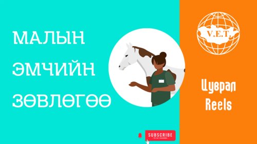 Малын эмчийн зөвлөгөө